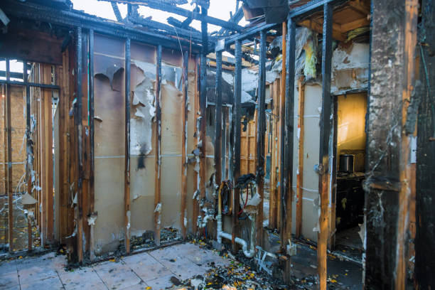 Professional Smoke Damage Removal technician working in Libertytown, MD